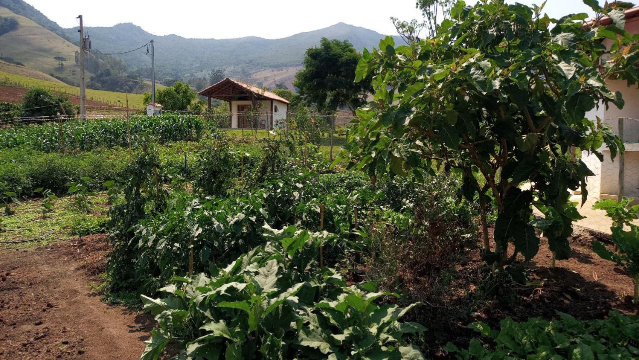 Quinta Do Papagaio Βίλα Pouso Alto Εξωτερικό φωτογραφία